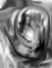 dewdrop_small.jpg