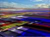 primaryconnections3kenpalmerglasgowartist_small.jpg