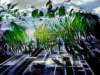 seedingthecitykenpalmerglasgowartist_small.jpg