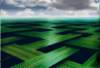 greeninterlace_small.jpg