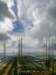 greenspires_small.jpg