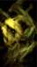 mylittlecabbage_small.jpg
