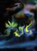 smallgrowth_small.jpg