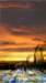 sunriseontheglassworks_small.jpg