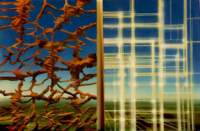 thenet102x160hangingdiptychacryliconcanvas_small.jpg
