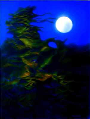 Moon Grabber 40x50cm Acrylic on Canvas