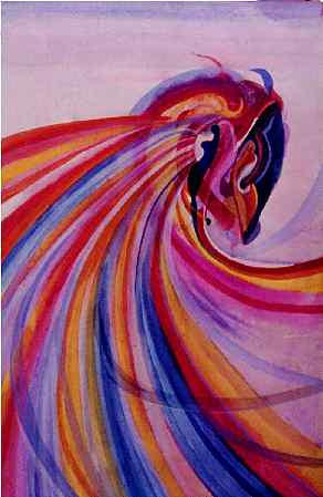 70 Pardise Bird