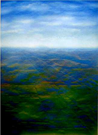 Toxic Land II