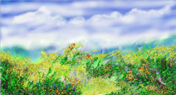 Flowering Fields 04