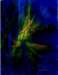 aquaticarmouracryliconpaper_small.jpg
