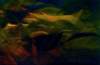 autumnpond55x8cmacryliconpaper_small.jpg