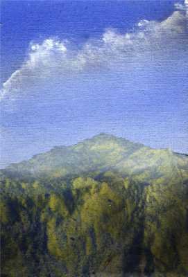farhill9x6cmacryliconcanvas.jpg
