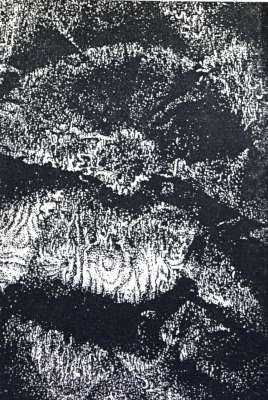 flora8x11cmthermoprint.jpg