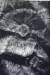 flora8x11cmthermoprint_small.jpg