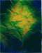 growingcrystala6acryliconpaper_small.jpg