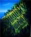 growyourownmotherboard152x126cmacryliconcanvas_small.jpg