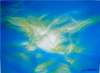 icarusa5acryliconpaper_small.jpg