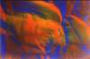 insectbluesa6acryliconpaper_small.jpg