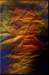 moneytreea5acryliconpaper_small.jpg