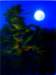 moongrabber40x50cmacryliconcanvas_small.jpg