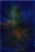 nightflower12x18cmacrylic_small.jpg