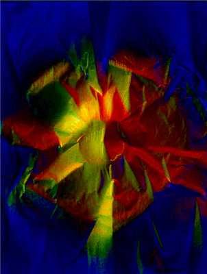 rosettea6acryliconpaper.jpg
