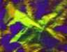 yellowdarta5acryliconcanvass_small.jpg