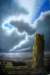 yellowsentinel100x150cmacryliconcanvas_small.jpg