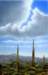 yellowspires32x48cmacryliconcanvas_small.jpg