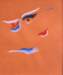 loosefeaturesa5wcolouronpaper_small.jpg