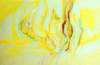 yellownervea2wcolouronpaper_small.jpg