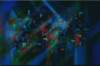 crossover40x60cmoiloncanvas_small.jpg