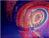escapevelocity100x120cmacrylicoiloncanvas_small.jpg