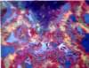 redundergrowth76x102cmacrylicoiloncanvas_small.jpg
