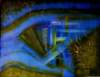 triodeintheelectricgarden50x70cmoiloncanvas_small.jpg