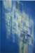 downwardmodulationa2wcolouronpapers_small.jpg
