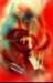 eccentricgiro35x55wcolouronpaper_small.jpg