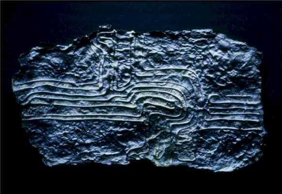fossiljunctiona4acryliconpapiermache.jpg