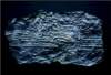 fossiljunctiona4acryliconpapiermache_small.jpg