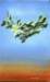greenflyera6wcolouronpaper_small.jpg