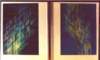 upwarddownwardmodulation2ofa2acryliconpaper8980_small.jpg