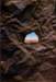 apertureiia4acryliconpaper_small.jpg