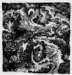 dragonseed14x14cminkonpaper_small.jpg