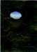 eyeayea6acryliconpaper_small.jpg
