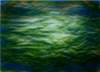 flooda4acryliconpaper_small.jpg