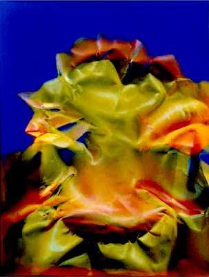 flytrap38x51cmacryliconcanvas.jpg