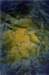 fracturedyellowa3acryliconpaper_small.jpg