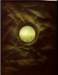 greeneye38x51cmacryliconcanvas_small.jpg