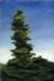greenfiniala5acryliconpaper_small.jpg