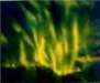 greenfirea4acryliconpaper_small.jpg